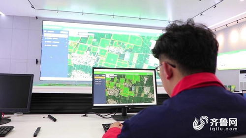 智慧大腦賦能田間地頭，聊城全面推廣科技種田新圖景